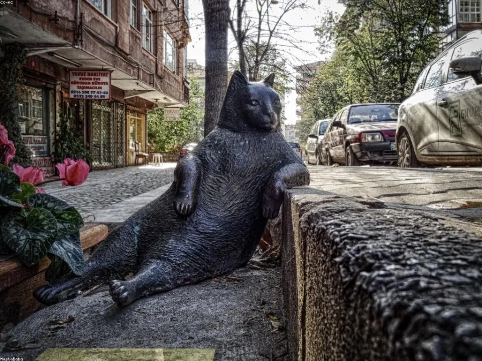 Хирургия на челюстта